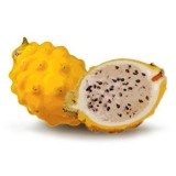 Pitahaya