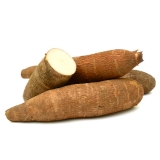 Yuca